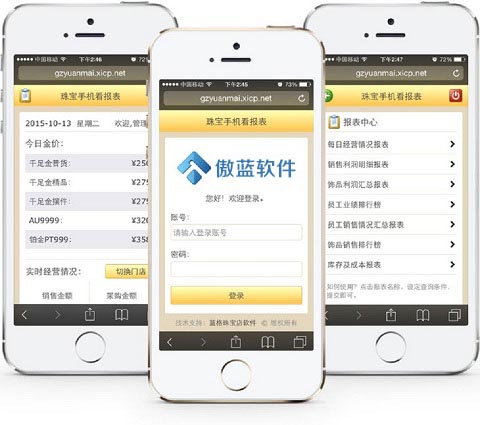 傲蓝珠宝店管理