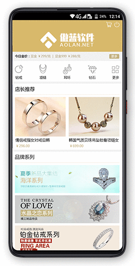 傲蓝珠宝店软件